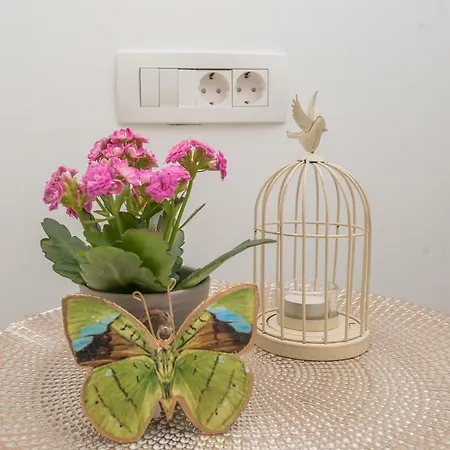 Sakarun House - Ivana Veli Rat