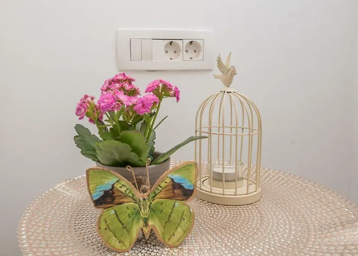 Sakarun House - Ivana Veli Rat